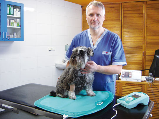 Biomag Lumina VET - Veterinární magnetoterapie pro psy, koně a jiné zvířata