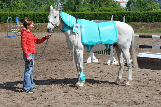 Biomag Lumina VET - Veterinární magnetoterapie pro psy, koně a jiné zvířata